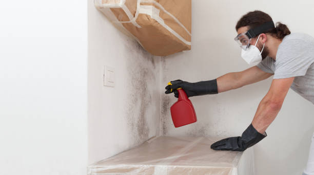 Professional Mold Remediation technician working in Crimora, VA